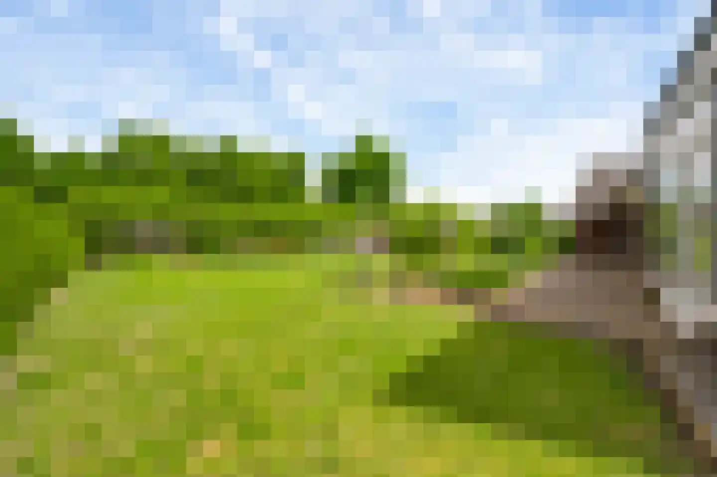 Jacob Poelsweg 4 America thumbnail 52