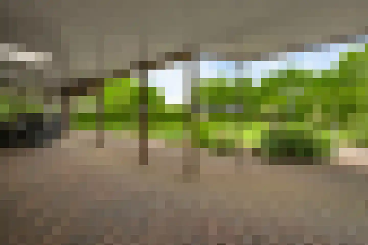 Jacob Poelsweg 4 America thumbnail 53