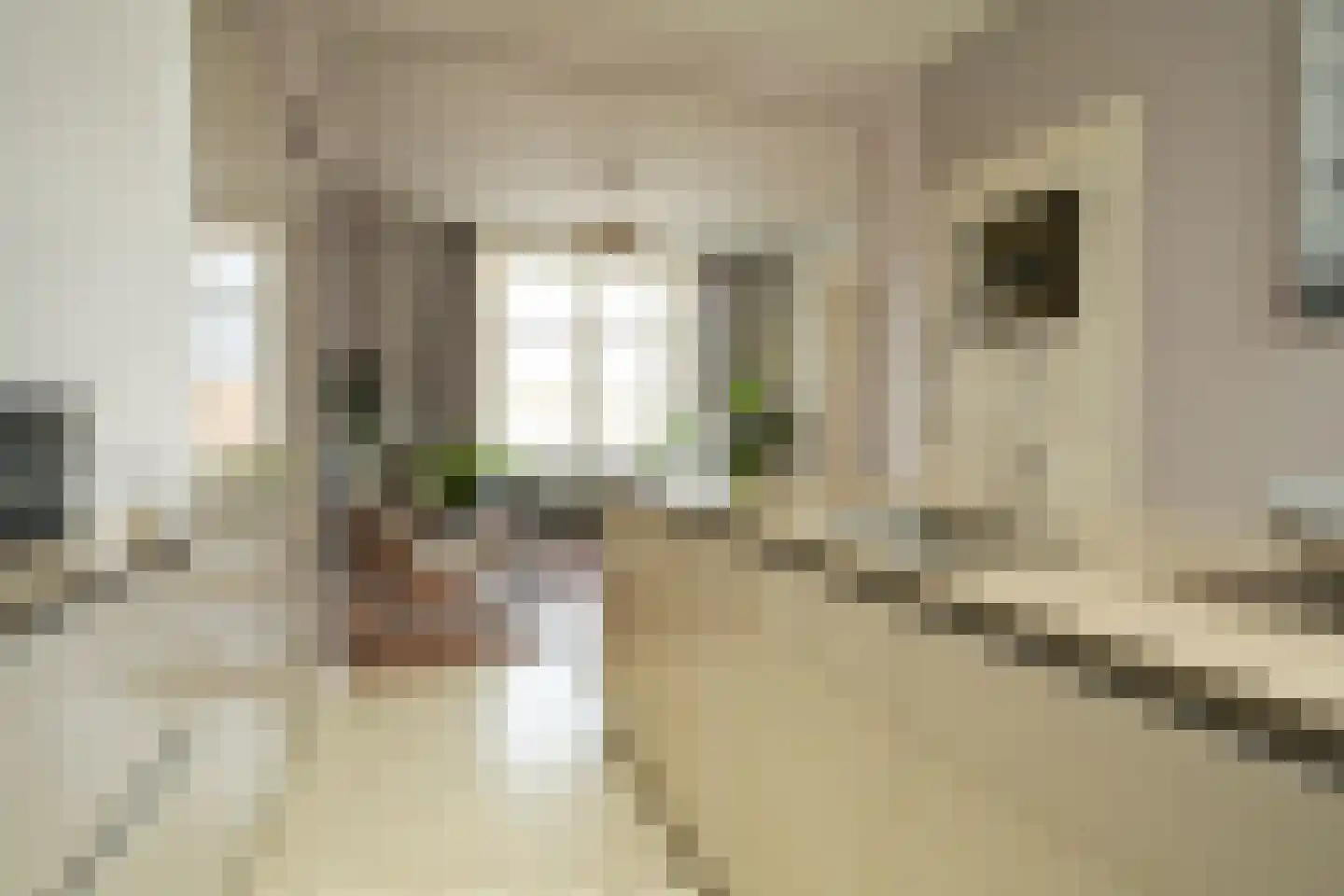 Jacob Pronkstraat 1 A Den Haag thumbnail 18