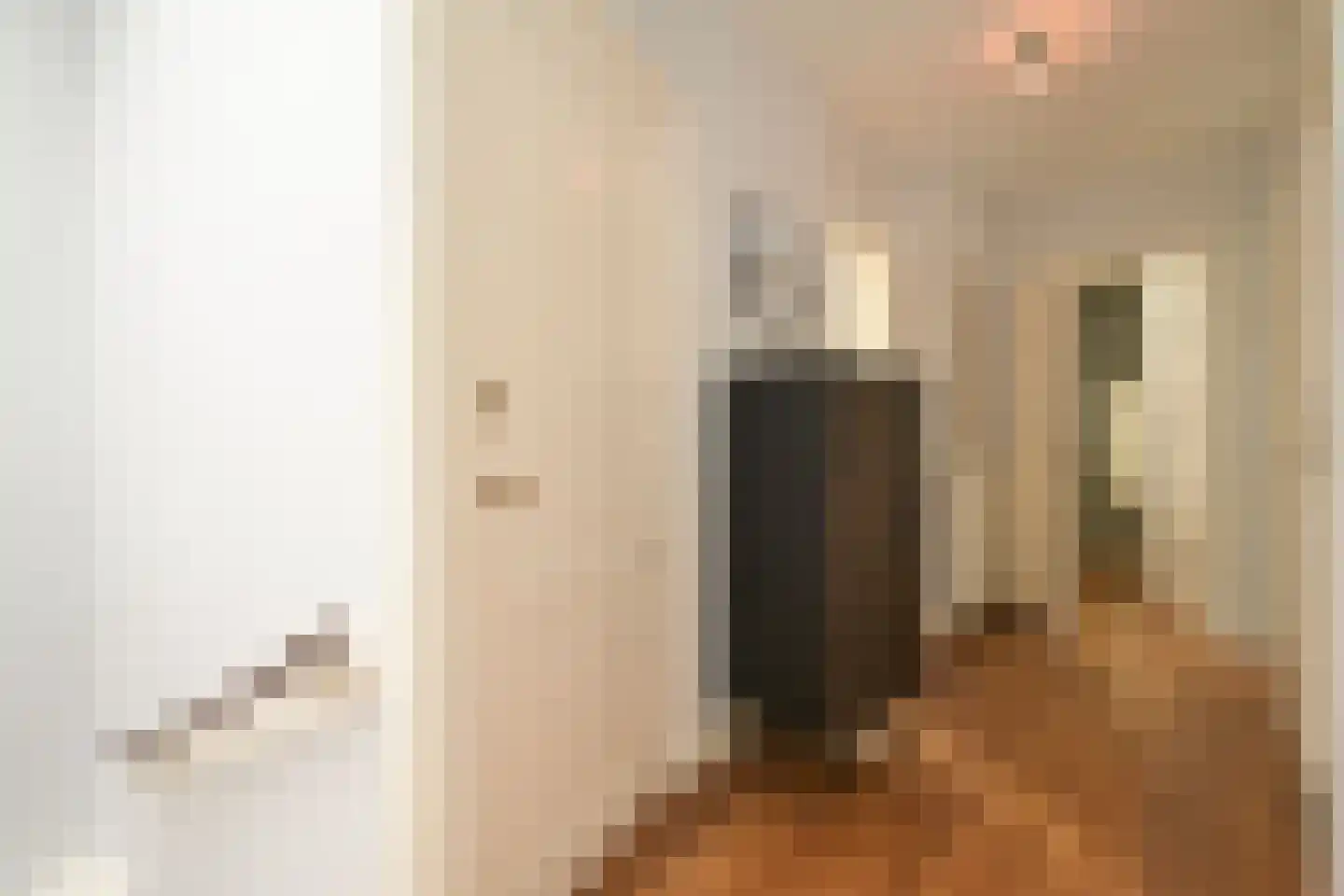 Jacob Pronkstraat 1 A Den Haag thumbnail 29