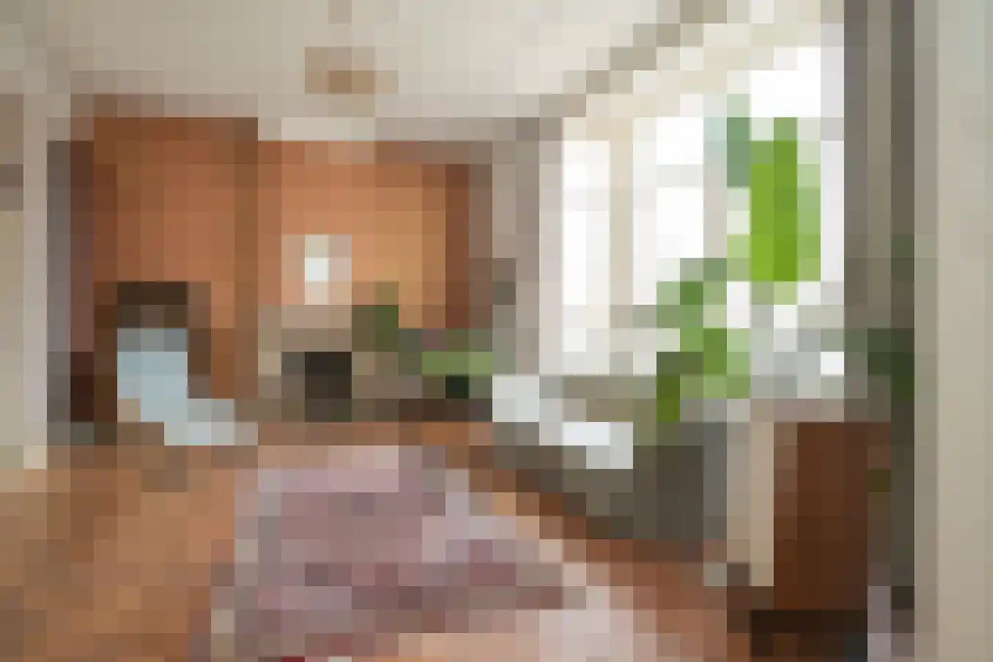 Jacob Pronkstraat 1 A Den Haag thumbnail 4