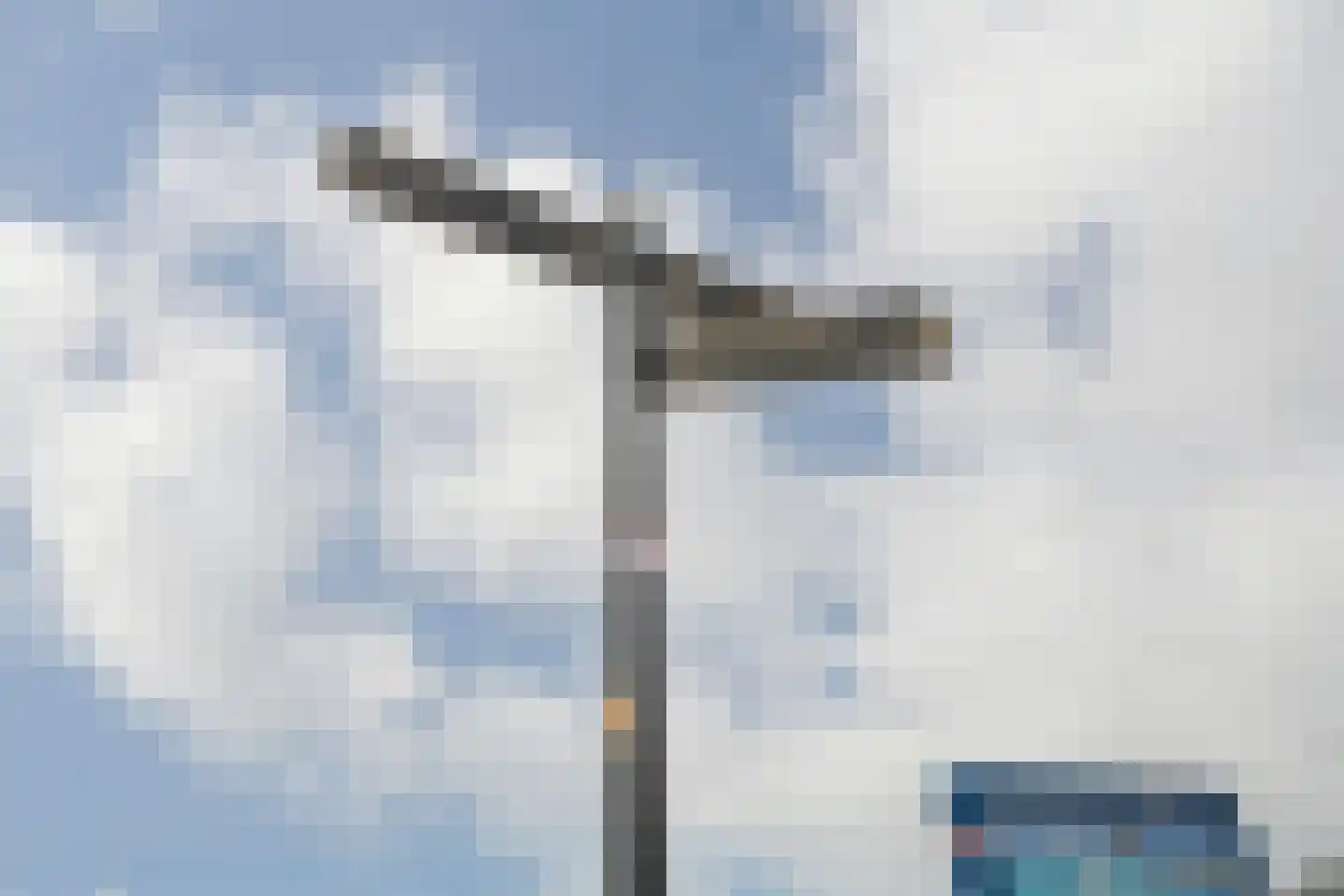 Jacob Pronkstraat 1 A Den Haag thumbnail 64