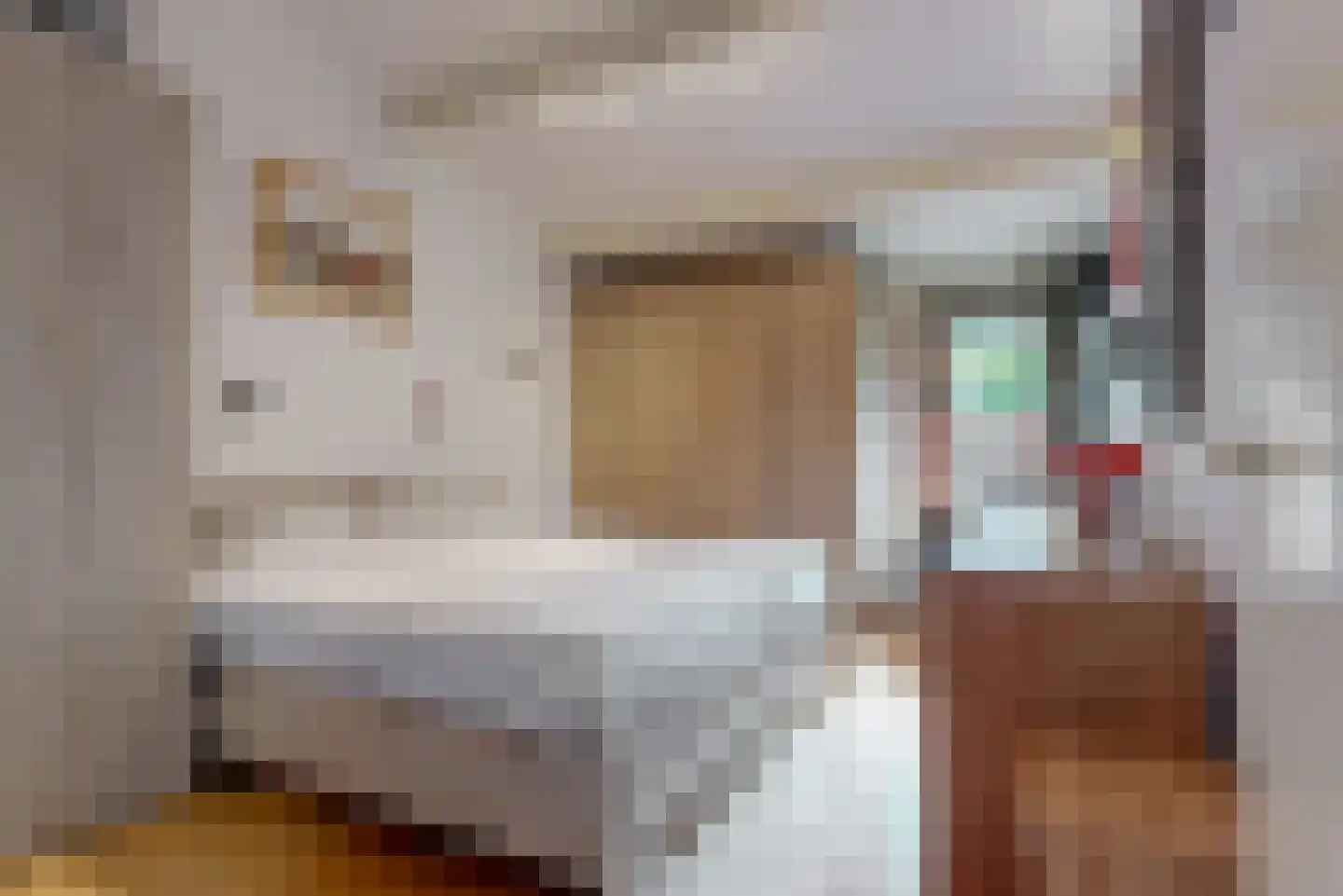 Jacob Rekstraat 107 Zaandam thumbnail 13