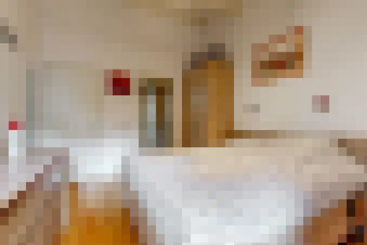 Jacob Rekstraat 107 Zaandam thumbnail 14