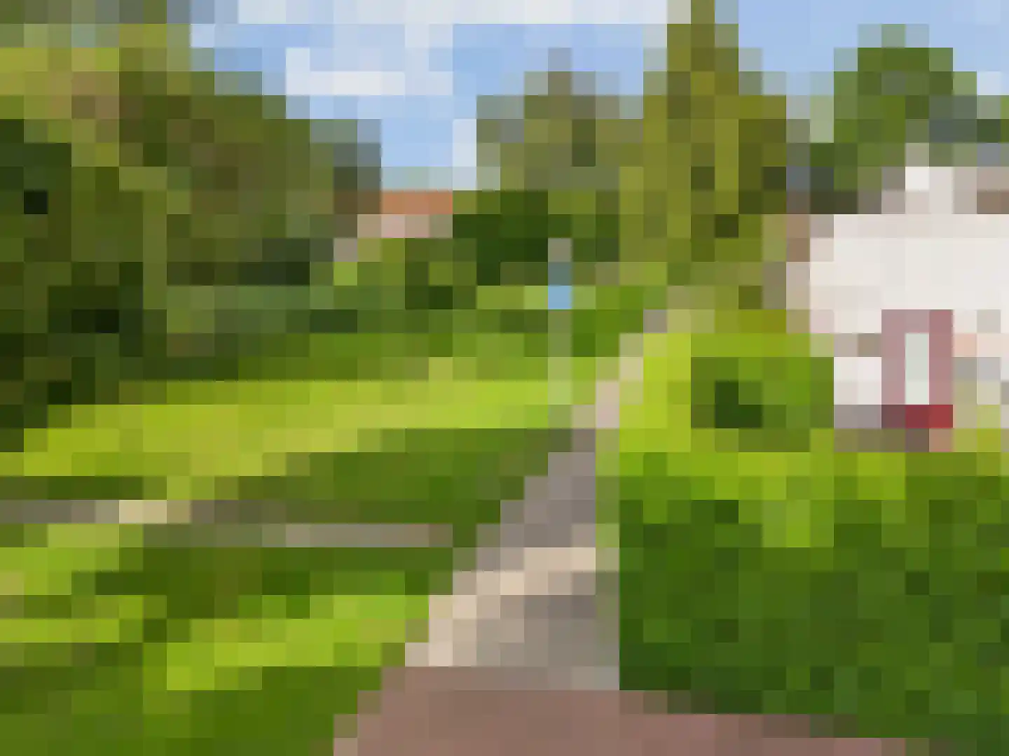 Jacob Rekstraat 107 Zaandam thumbnail 33