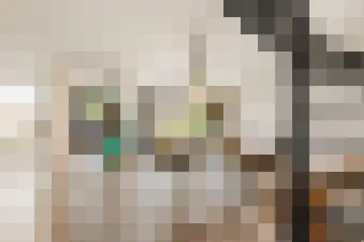 Jacob Rensdorpstraat 18 Castricum thumbnail 10
