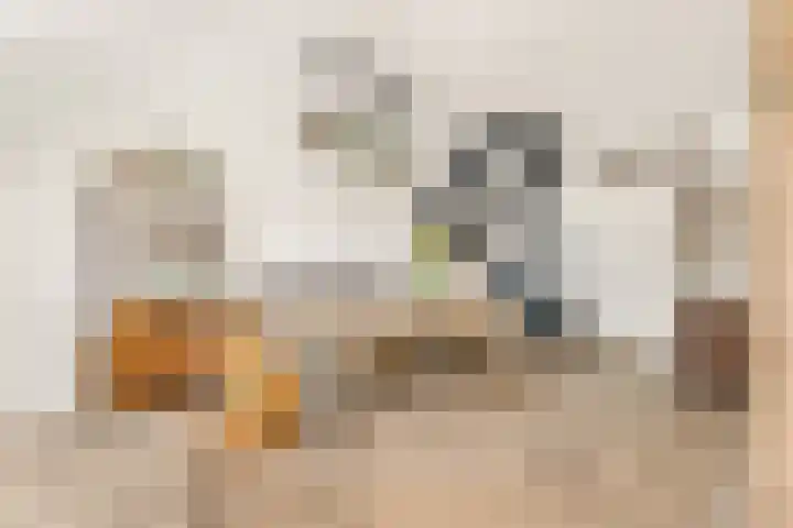 Jacob Rensdorpstraat 18 Castricum thumbnail 18