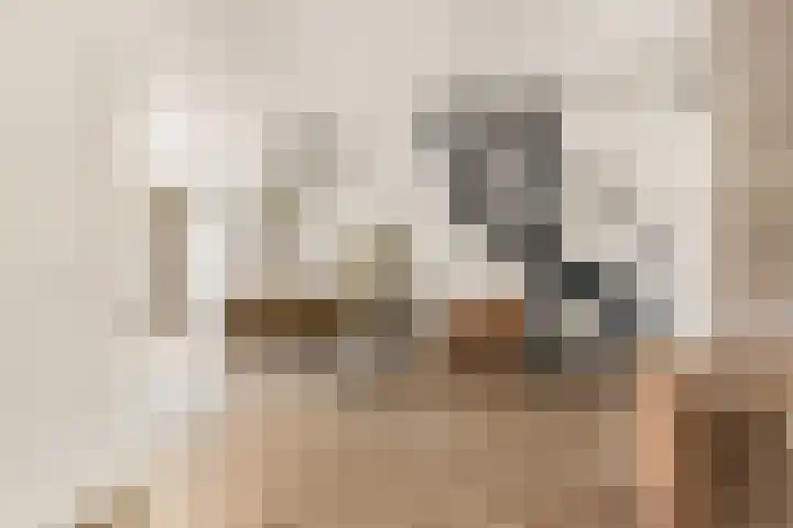 Jacob Rensdorpstraat 18 Castricum thumbnail 26