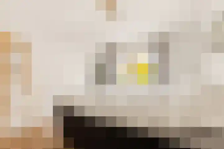 Jacob Rensdorpstraat 18 Castricum thumbnail 32