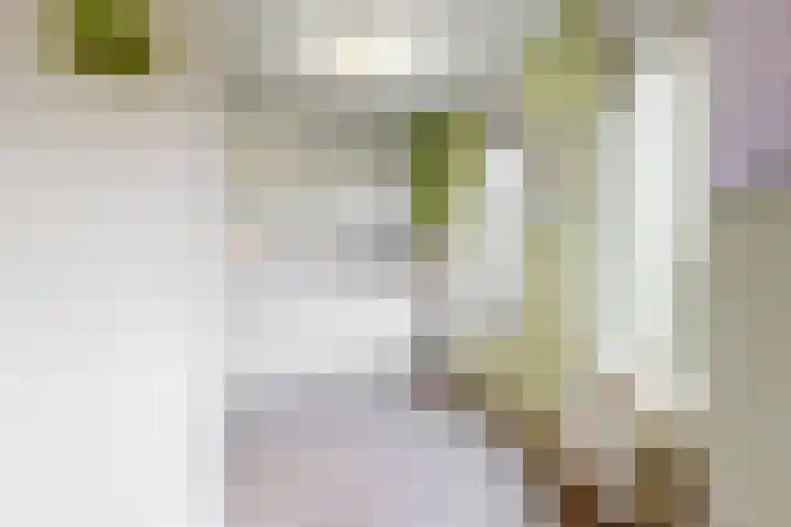 Jacob Reviushof 22 Uithoorn thumbnail 14