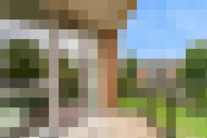 Jacob Reviushof 22 Uithoorn thumbnail 24