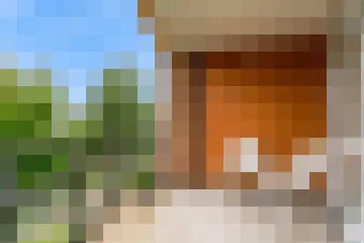 Jacob Reviushof 22 Uithoorn thumbnail 25