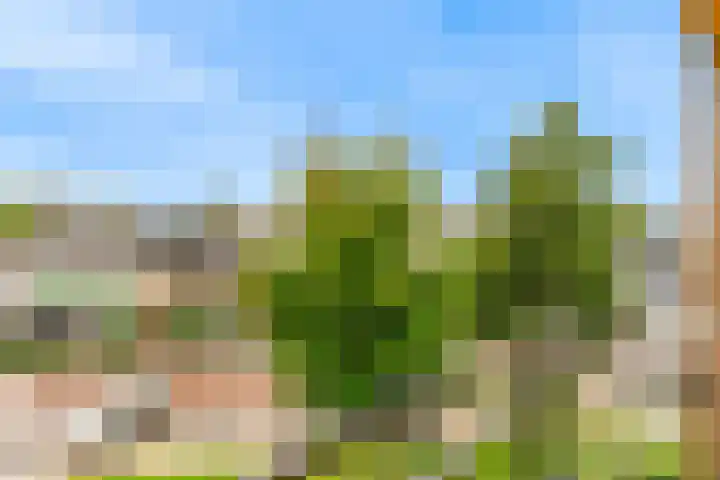 Jacob Reviushof 22 Uithoorn thumbnail 26