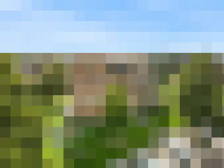 Jacob Reviushof 22 Uithoorn thumbnail 27