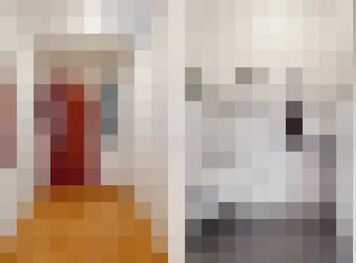 Jacob Reviushof 22 Uithoorn thumbnail 9