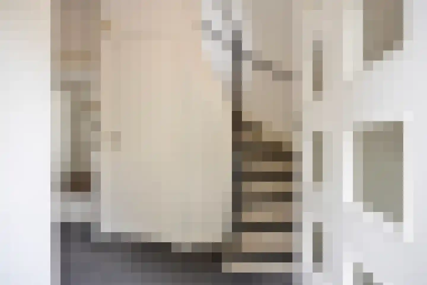 Jacob Reviuslaan 17 Eindhoven thumbnail 10