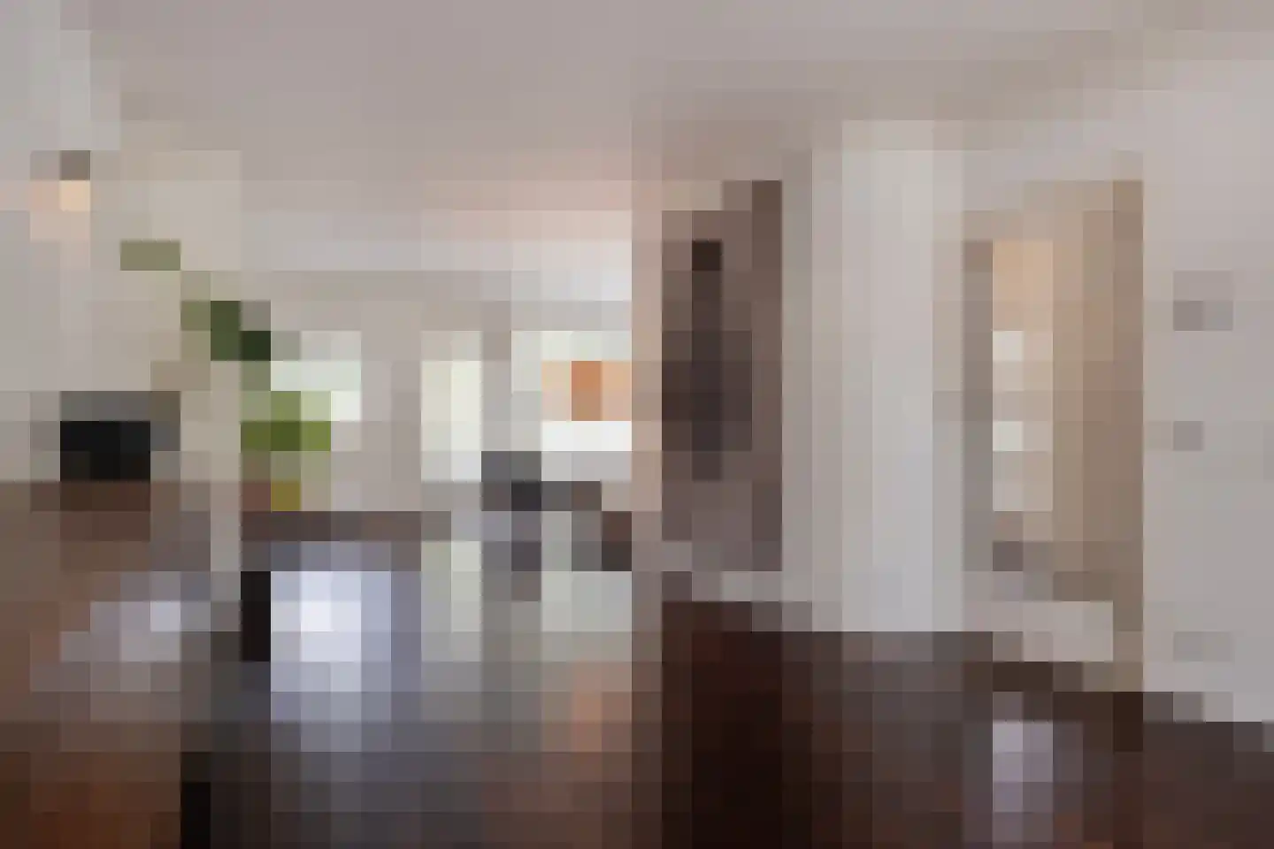 Jacob Reviuslaan 17 Eindhoven thumbnail 12
