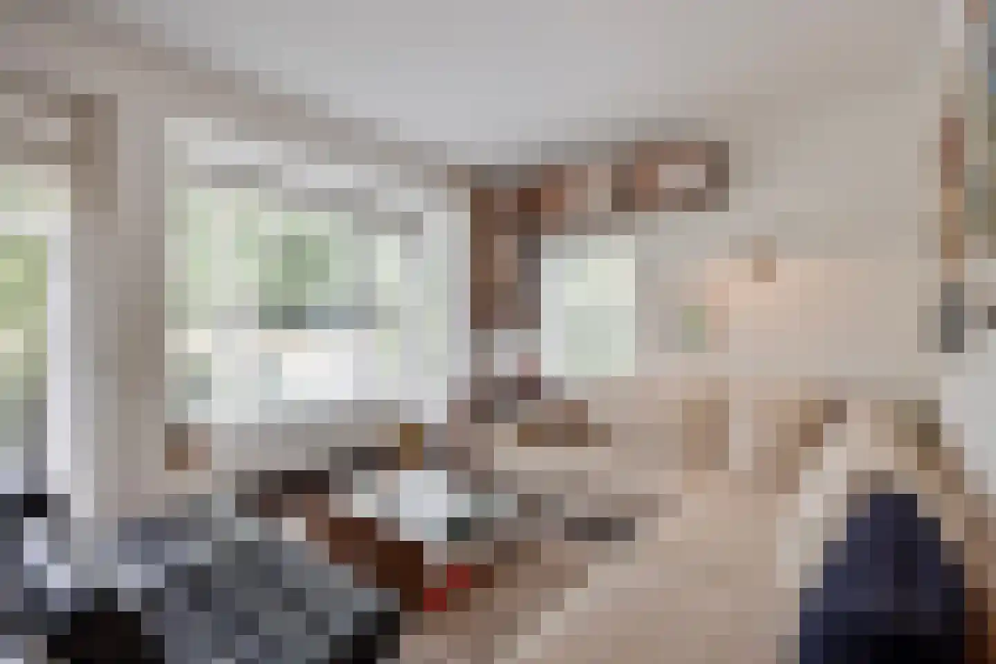 Jacob Reviuslaan 17 Eindhoven thumbnail 15