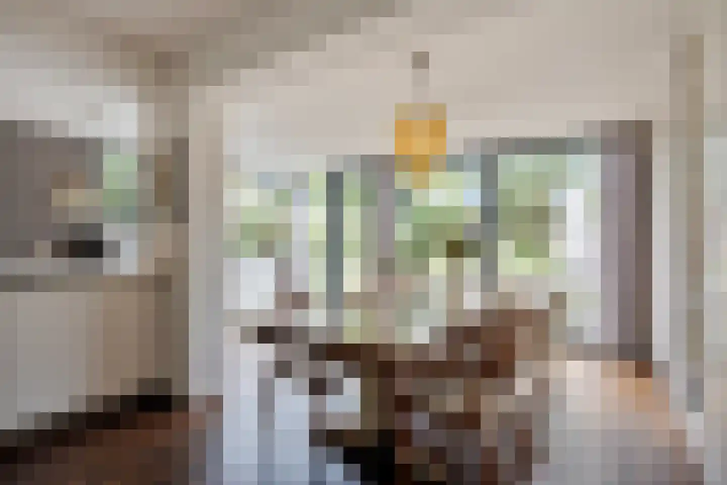Jacob Reviuslaan 17 Eindhoven thumbnail 19