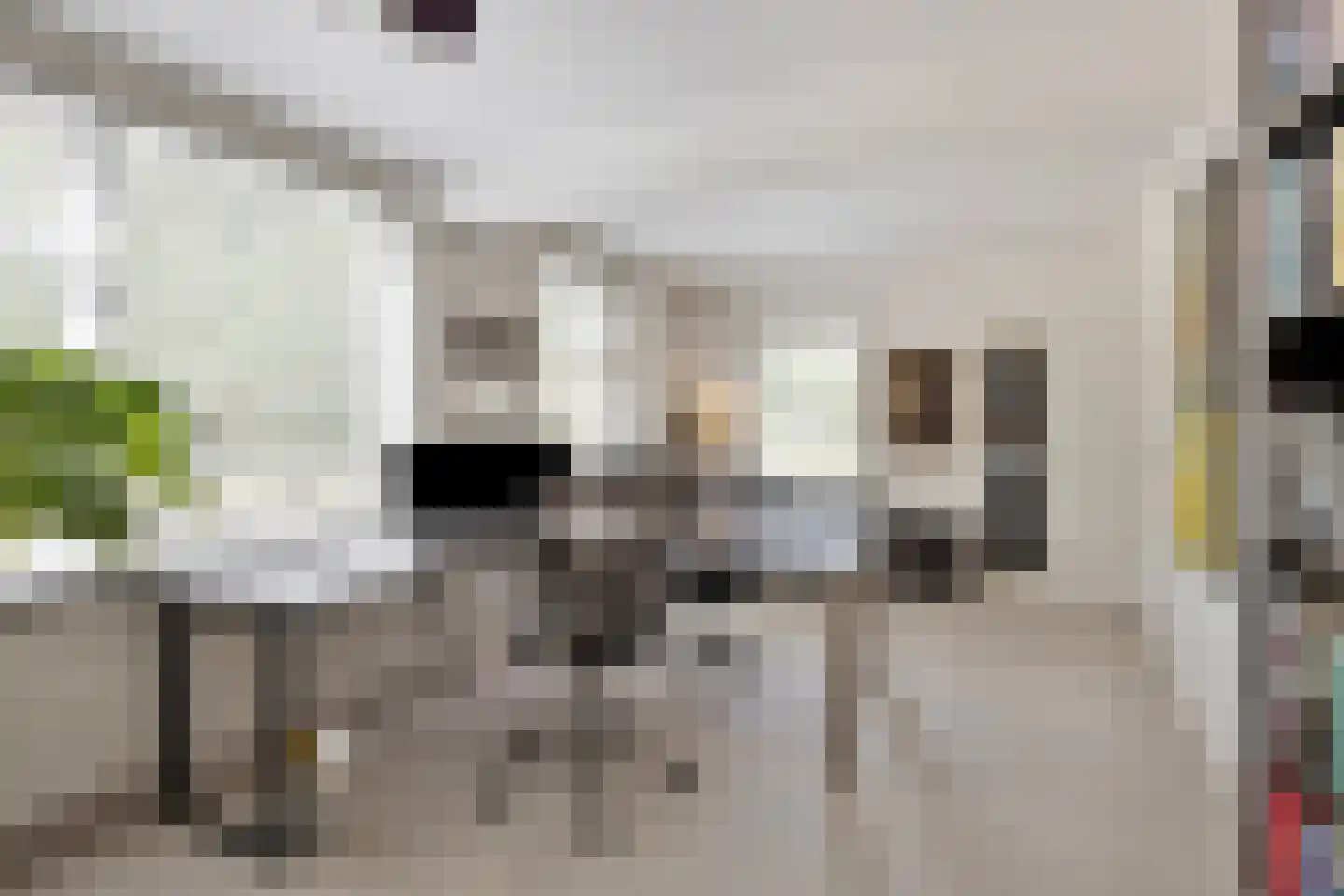 Jacob Reviuslaan 17 Eindhoven thumbnail 34