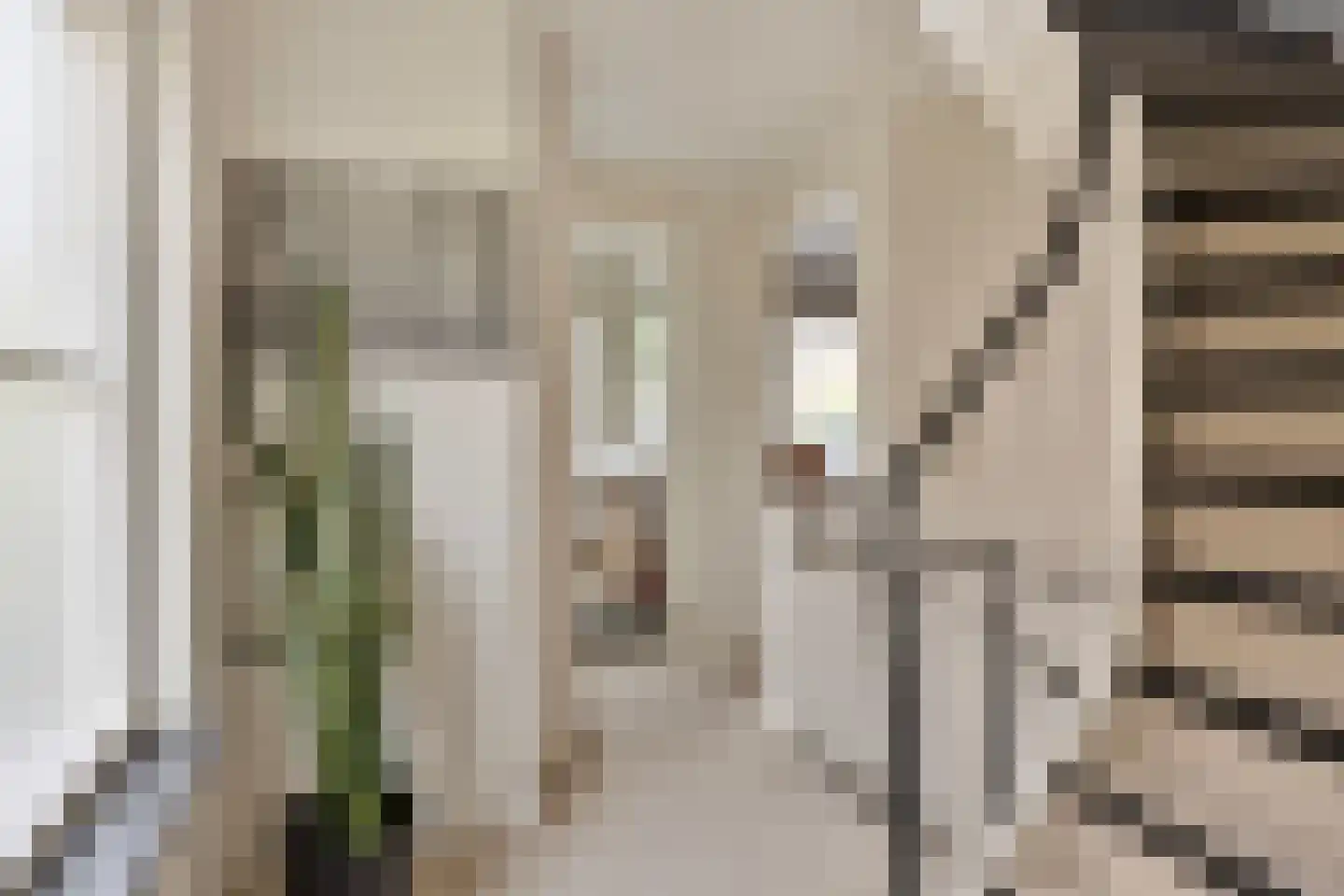 Jacob Reviuslaan 17 Eindhoven thumbnail 36