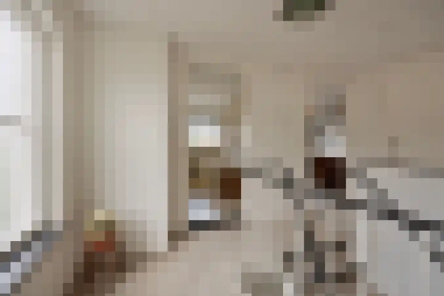 Jacob Reviuslaan 17 Eindhoven thumbnail 37