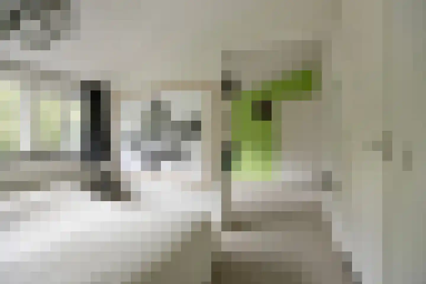 Jacob Reviuslaan 17 Eindhoven thumbnail 38