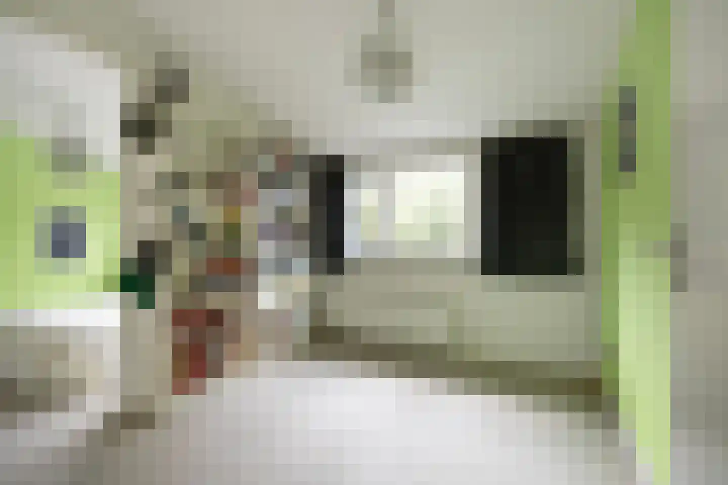 Jacob Reviuslaan 17 Eindhoven thumbnail 39