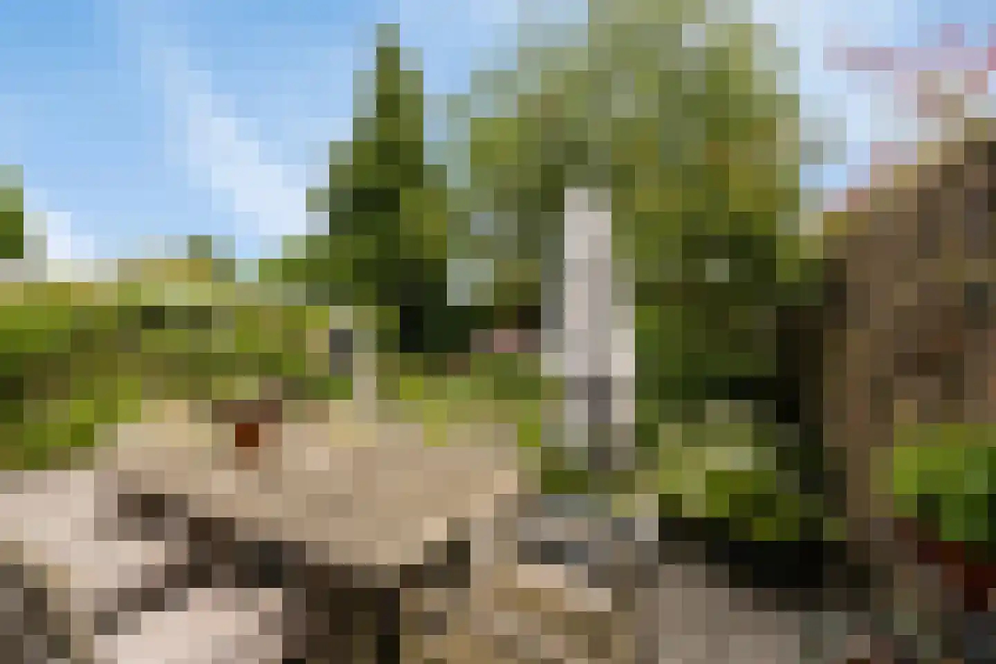 Jacob Reviuslaan 17 Eindhoven thumbnail 46