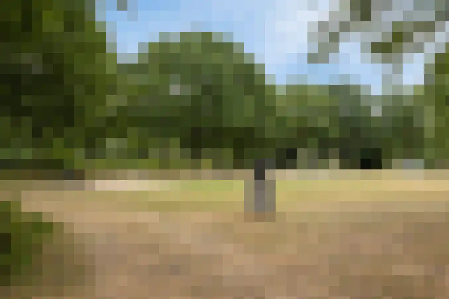 Jacob Reviuslaan 17 Eindhoven thumbnail 51