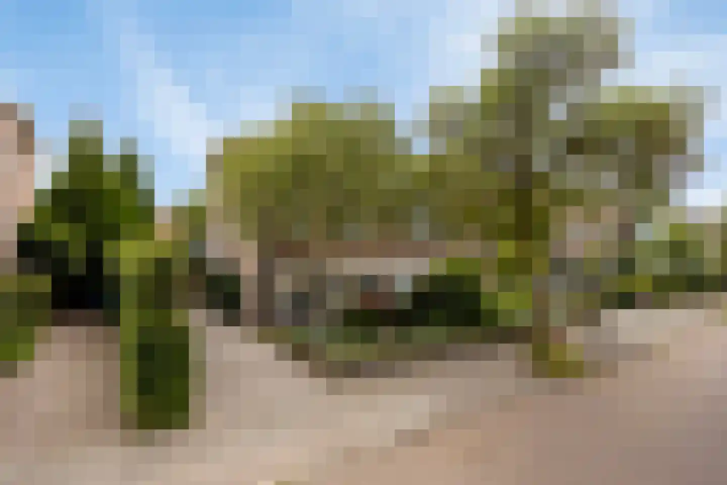 Jacob Reviuslaan 17 Eindhoven thumbnail 8