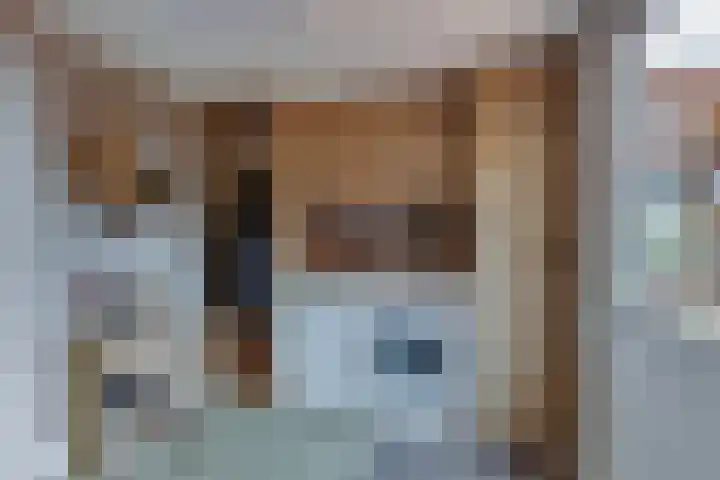 Jacob Reviusstraat 20 Rijssen thumbnail 19