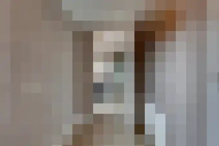 Jacob Reviusstraat 20 Rijssen thumbnail 20