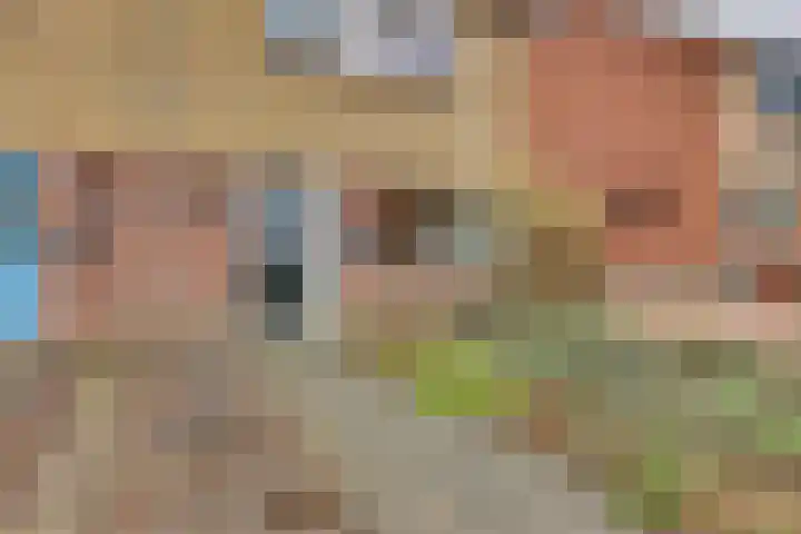 Jacob Reviusstraat 20 Rijssen thumbnail 7