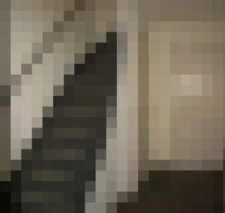 Jacob Reviusstraat 8 Zeddam thumbnail 17