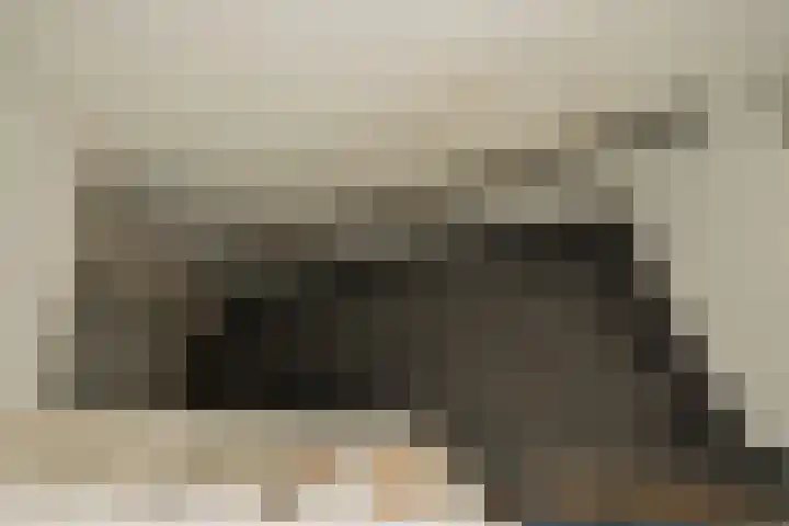 Jacob Reviusstraat 8 Zeddam thumbnail 18