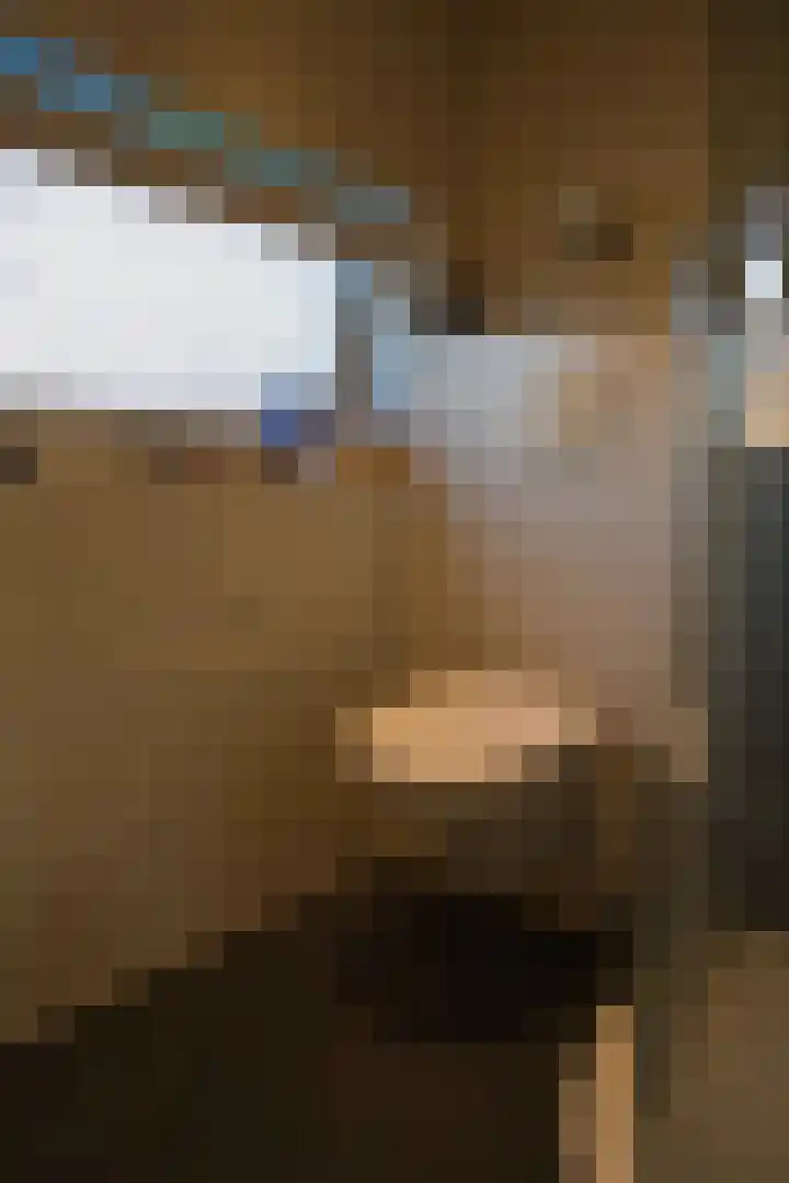 Jacob Reviusstraat 8 Zeddam thumbnail 25