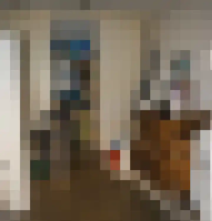 Jacob Reviusstraat 8 Zeddam thumbnail 33