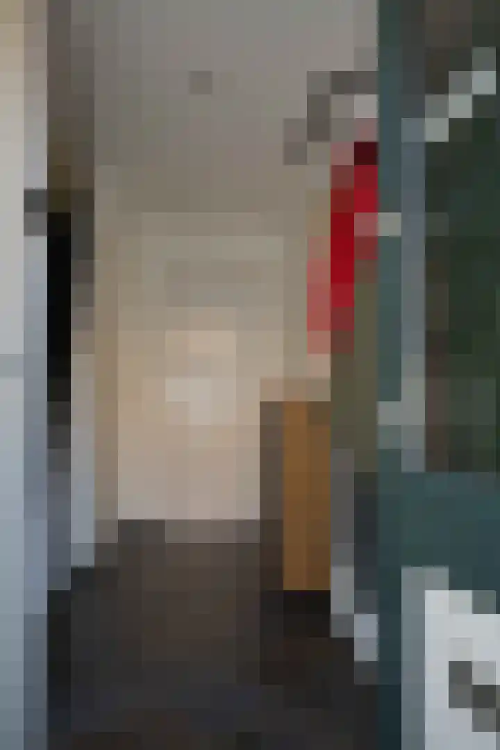 Jacob Reviusstraat 8 Zeddam thumbnail 4