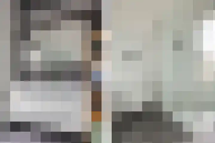 Jacob Roggebroodsteeg 15 Gorinchem thumbnail 12