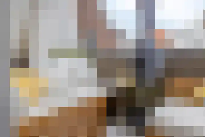 Jacob Roggebroodsteeg 15 Gorinchem thumbnail 13