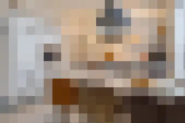 Jacob Roggebroodsteeg 15 Gorinchem thumbnail 7