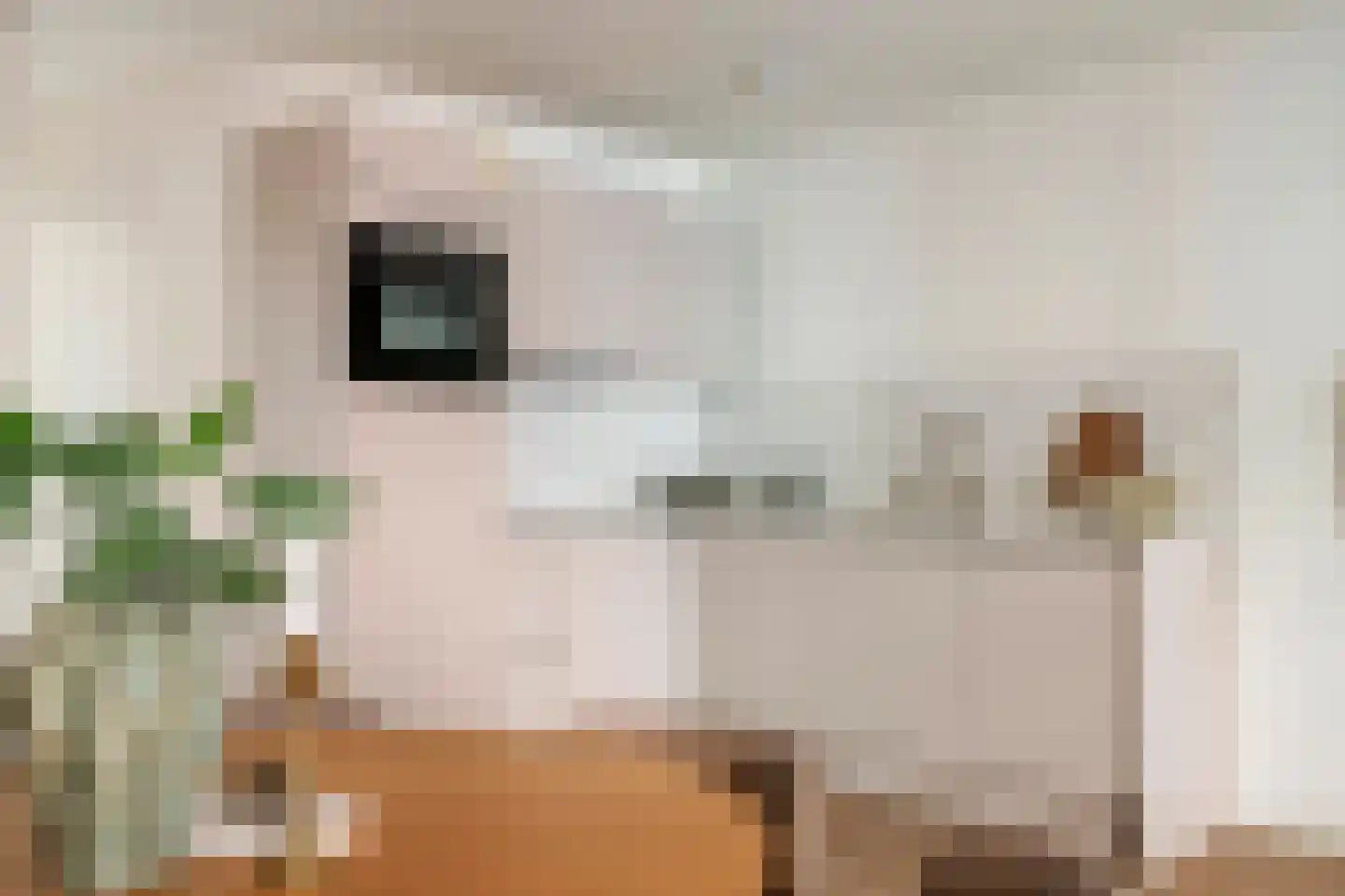 Jacob Roggebroodsteeg 2 b Gorinchem thumbnail 4