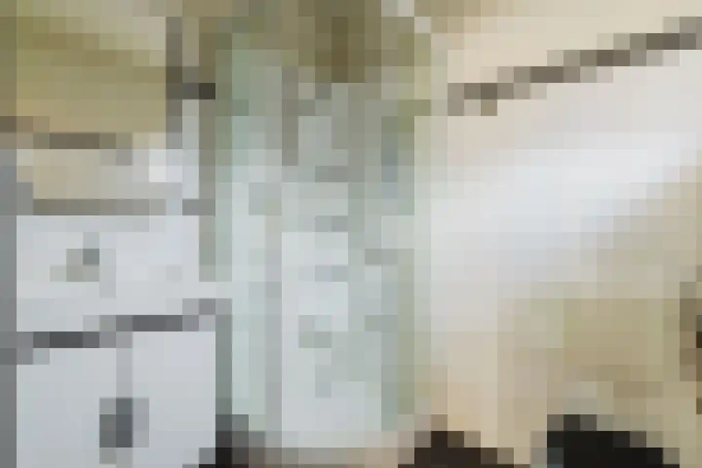Jacob Roggeveenstraat 12 Tilburg thumbnail 4