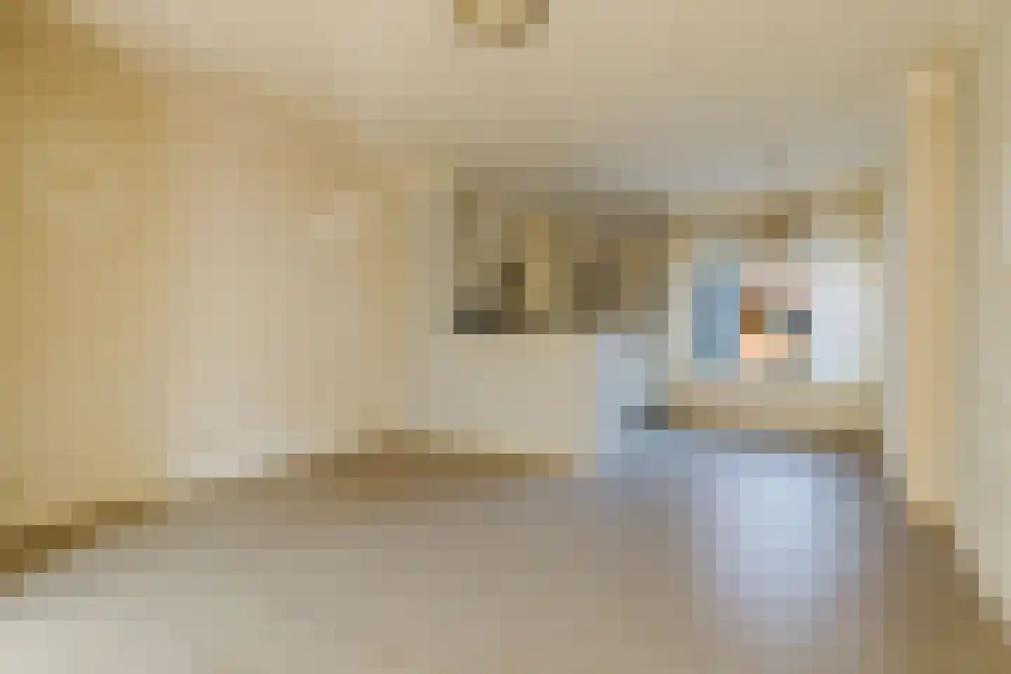 Jacob Roggeveenstraat 12 Tilburg thumbnail 6
