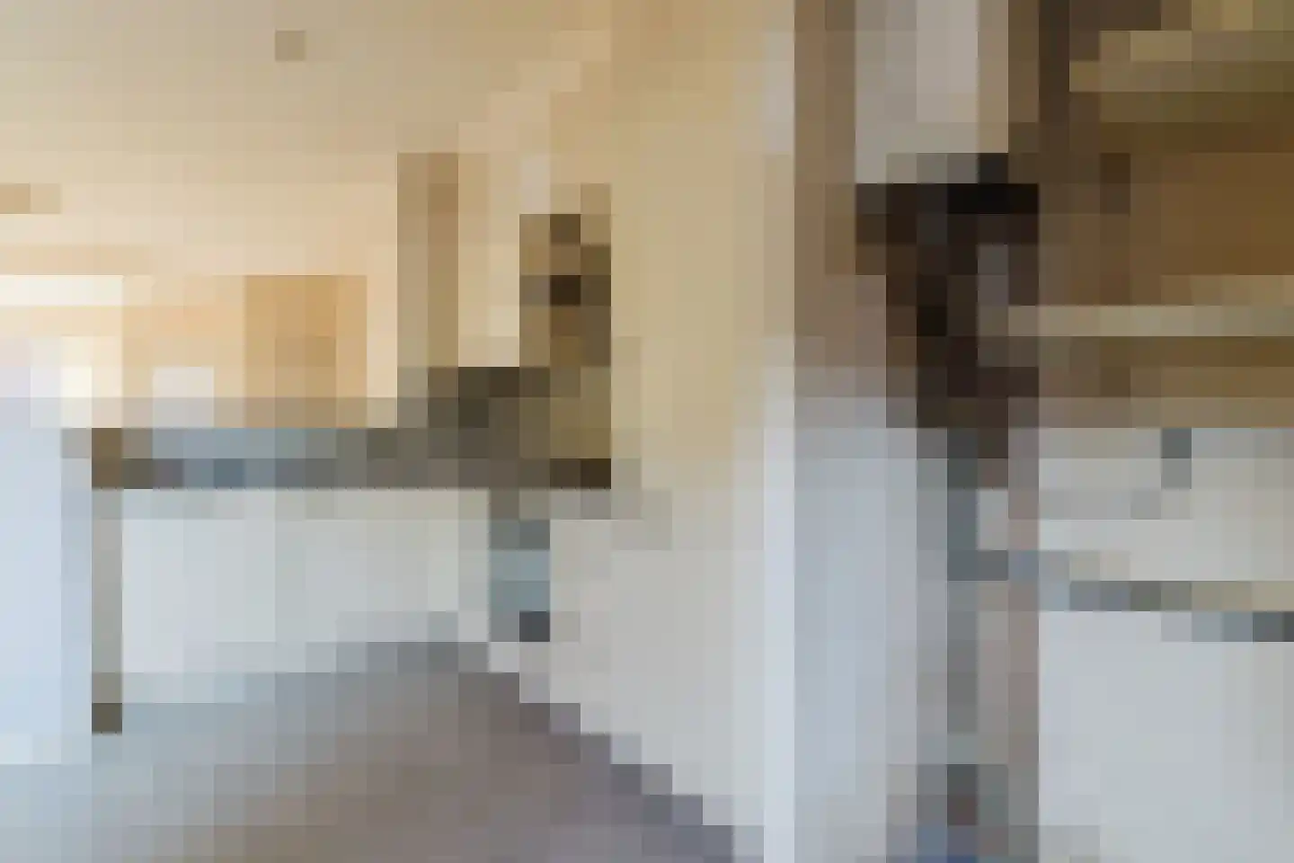 Jacob Roggeveenstraat 12 Tilburg thumbnail 7