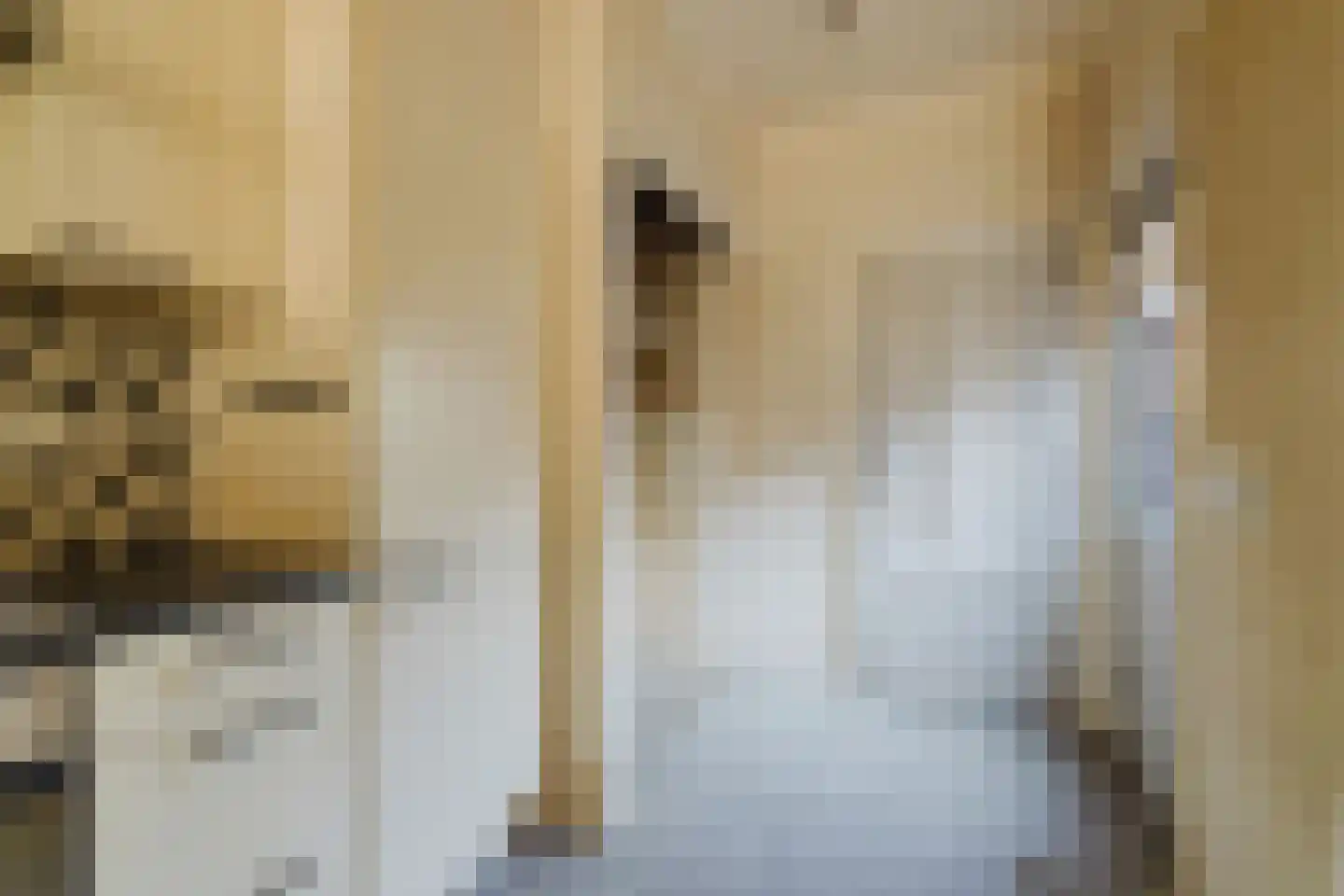 Jacob Roggeveenstraat 12 Tilburg thumbnail 8