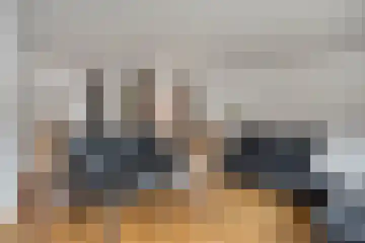 Jacob Roggeveenstraat 13 's-Hertogenbosch thumbnail 12