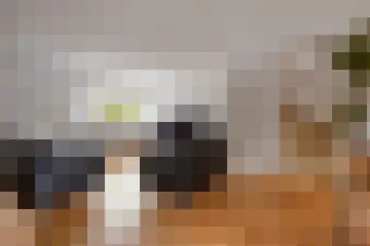 Jacob Roggeveenstraat 13 's-Hertogenbosch thumbnail 16