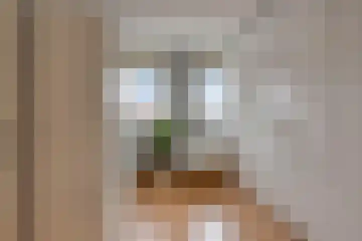 Jacob Roggeveenstraat 13 's-Hertogenbosch thumbnail 20